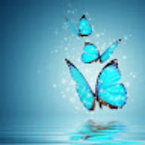 Meet your Posher, Aubrey